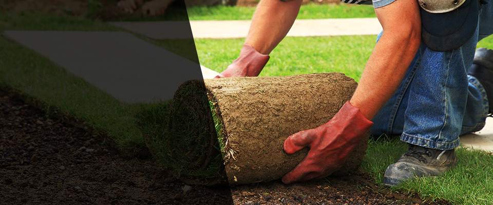 Southern Pines Landscapers